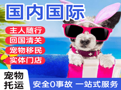 锦州航空快运国际宠物托运 【国